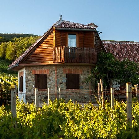 Robinson Vila Kitokret Kutjevo Exterior photo